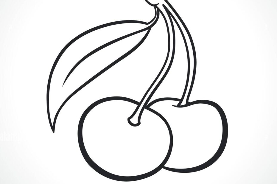 Cherries Black And White Drawing Stock Vector Image U0026 Art Alamy