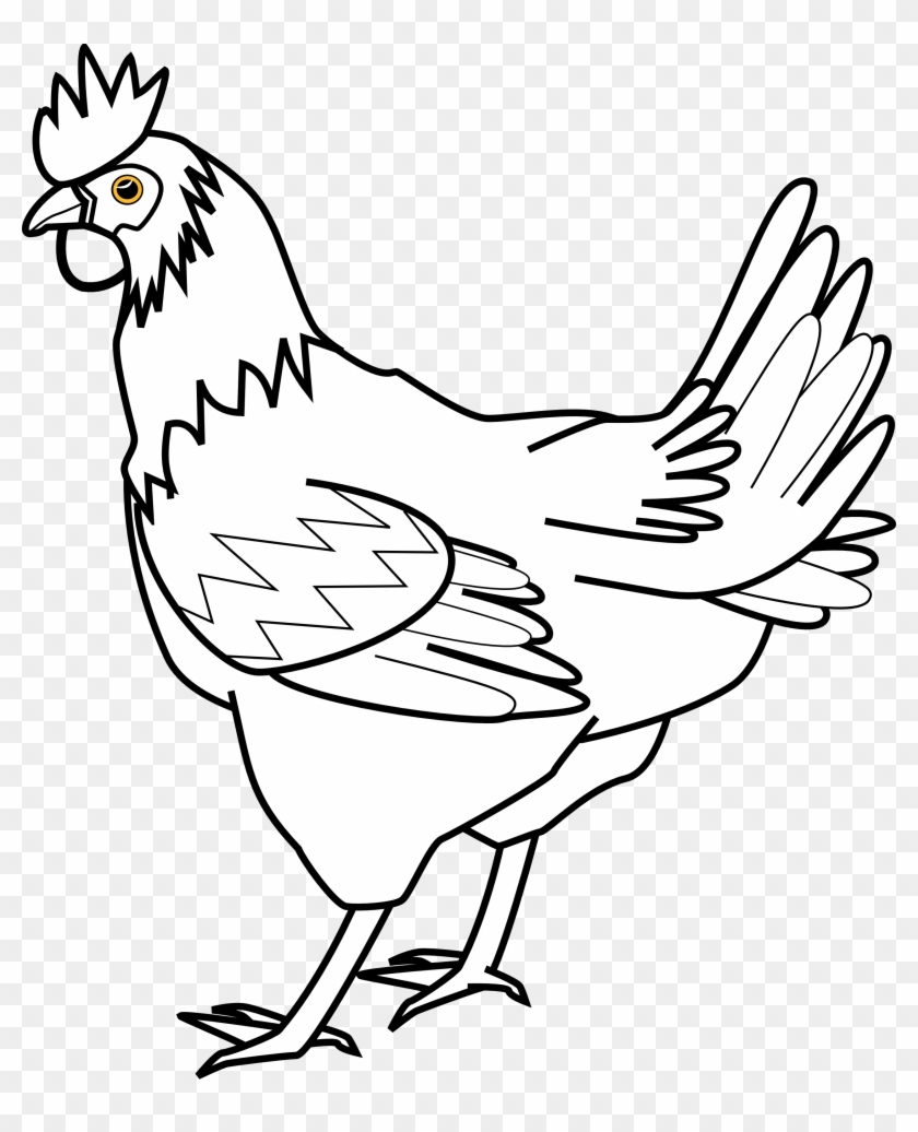 Chicken Clip Art Drawing Pictures Of Hen Free Transparent PNG Clipart Images Download