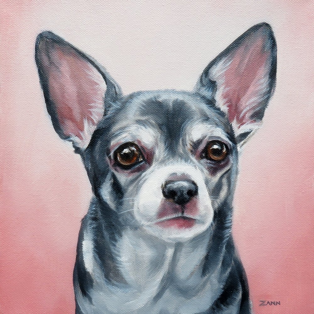 chihuahua drawing