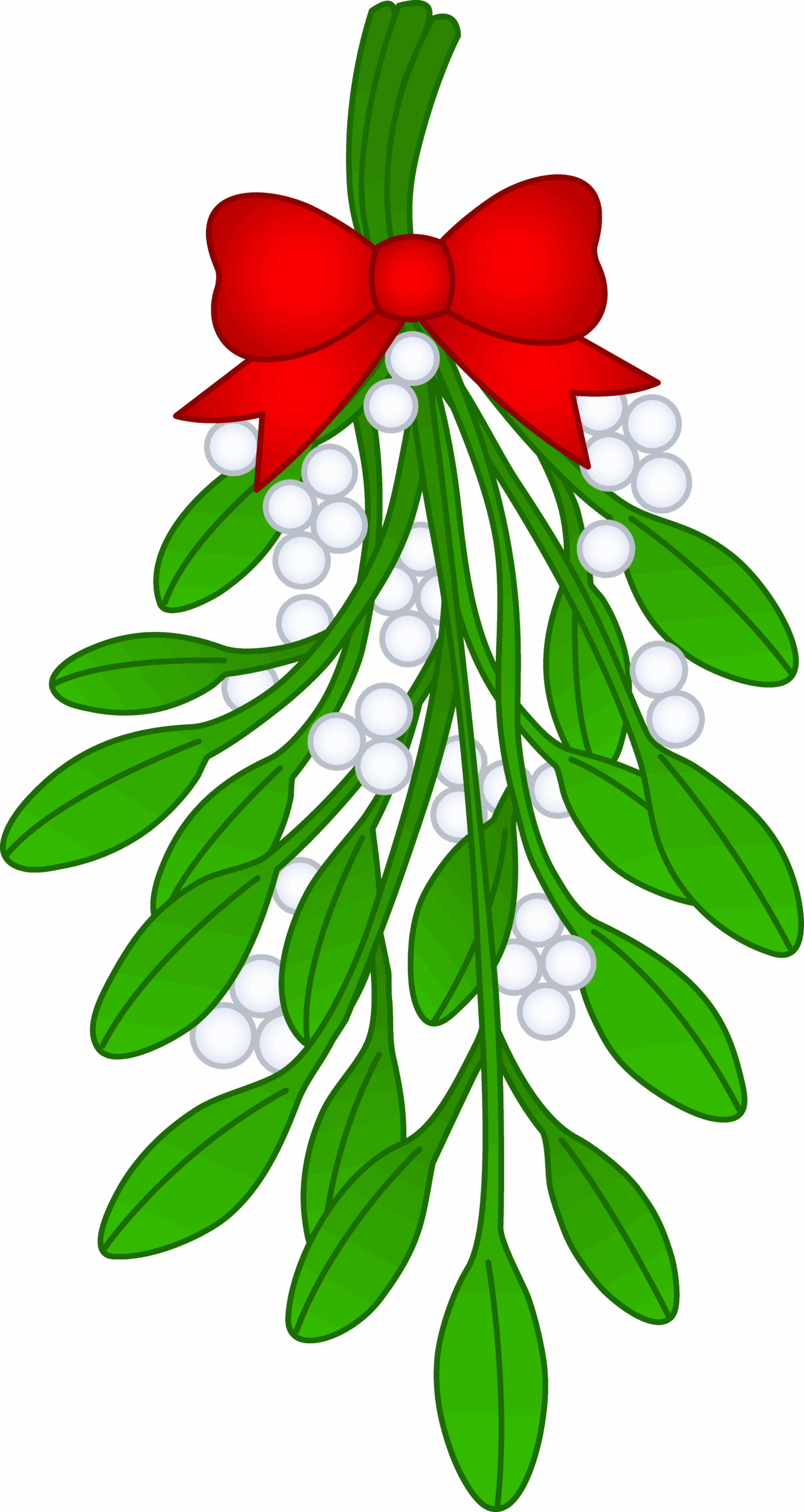 mistletoe drawing
