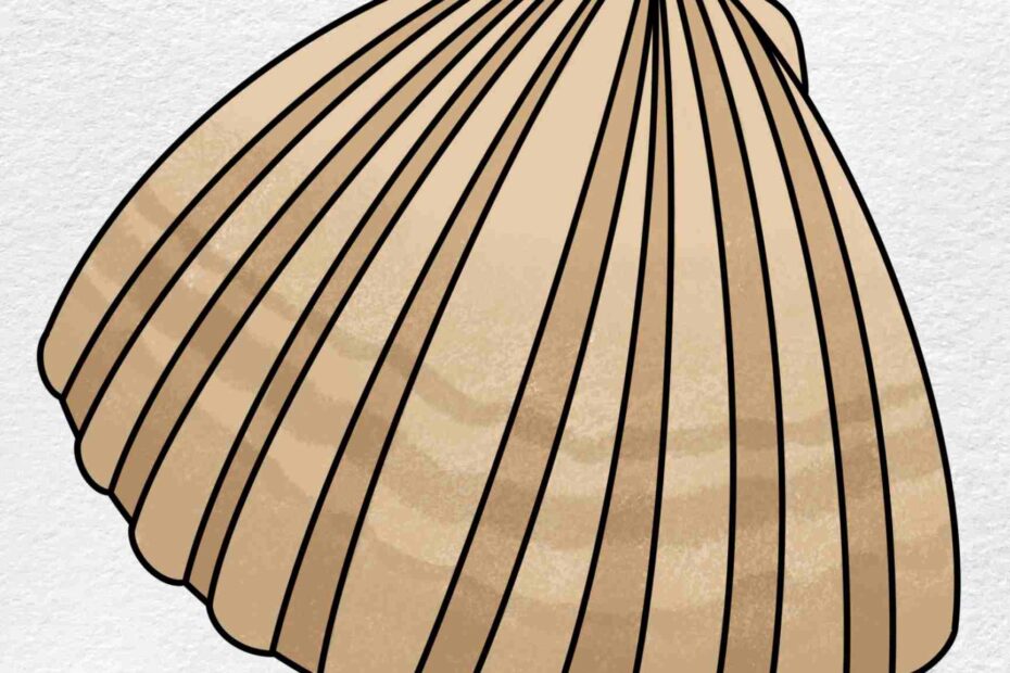 Clam Drawing HelloArtsy