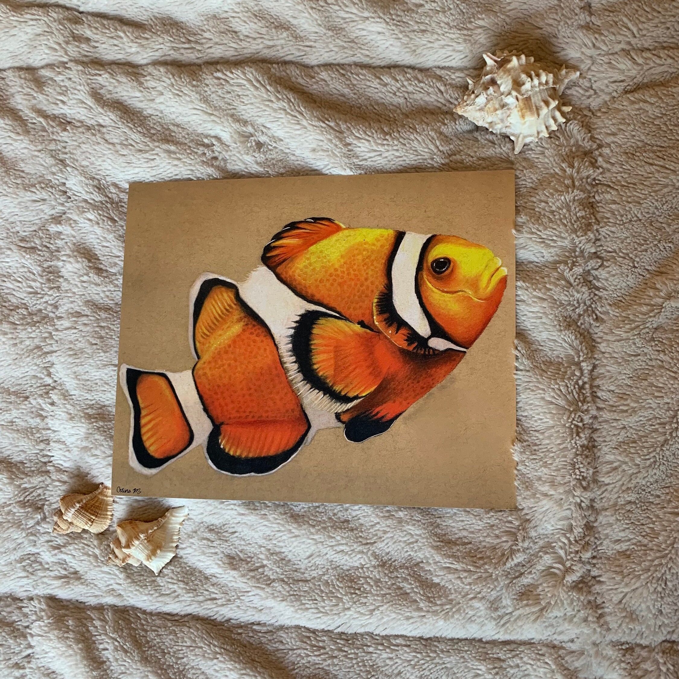 Clownfish Print 8x10 Inches Hand Drawn Color Pencil Drawing Print Realistic Print Ocean Life Print Etsy