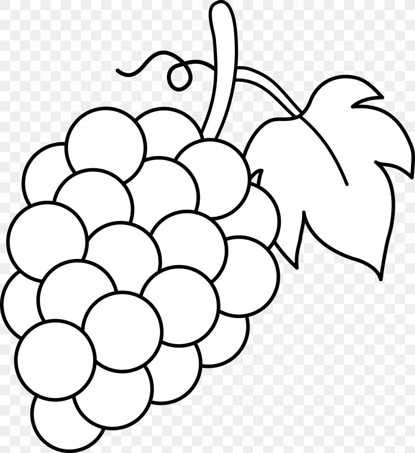 Common Grape Vine Wine Drawing Clip Art PNG