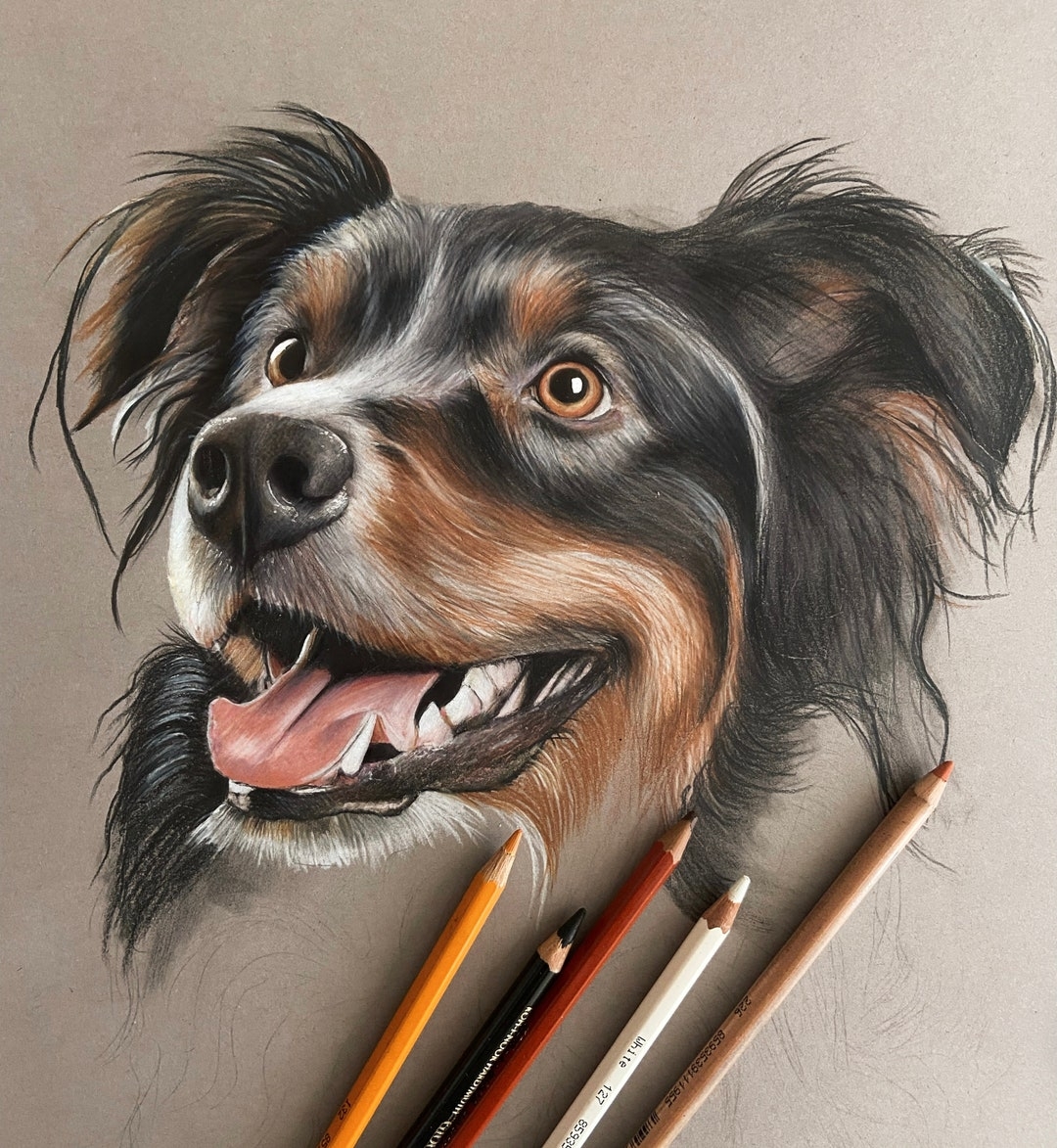 Custom Colored Pencil Pet Portraits Hand Drawn Pet Portrait Pet Drawing Commission Pet Loss Gift Colored Pencil Dog Lover Gift Etsy UK