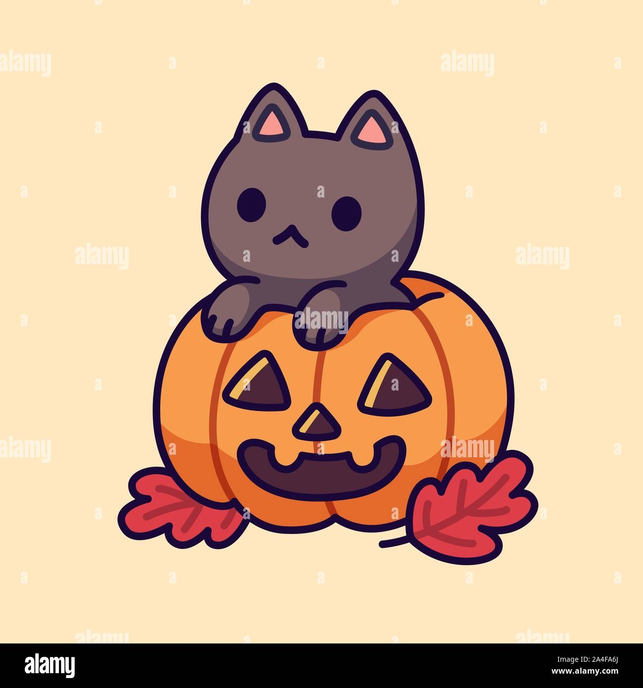 Cute Black Cat Inside Halloween Pumpkin With Carved Spooky Face 