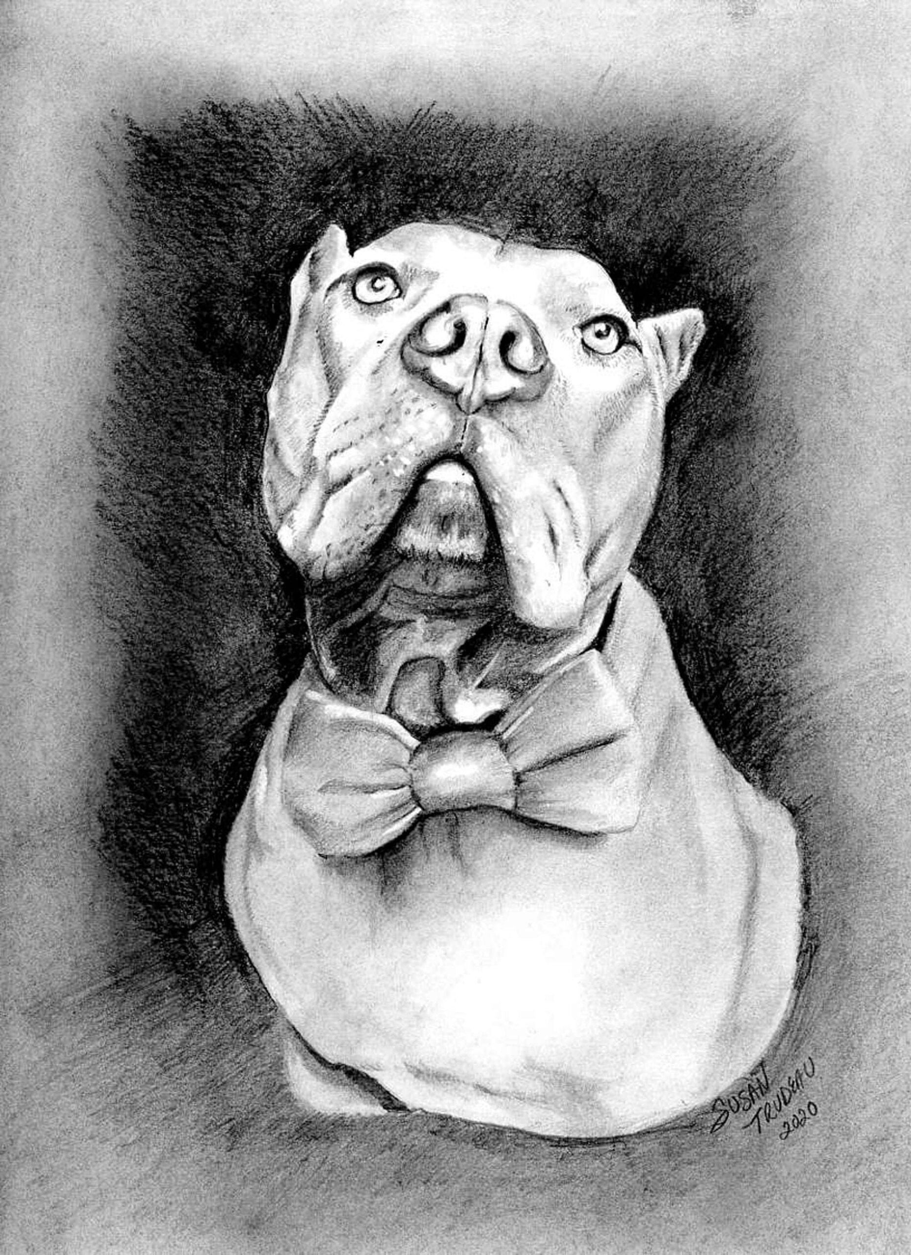 dogs drawing