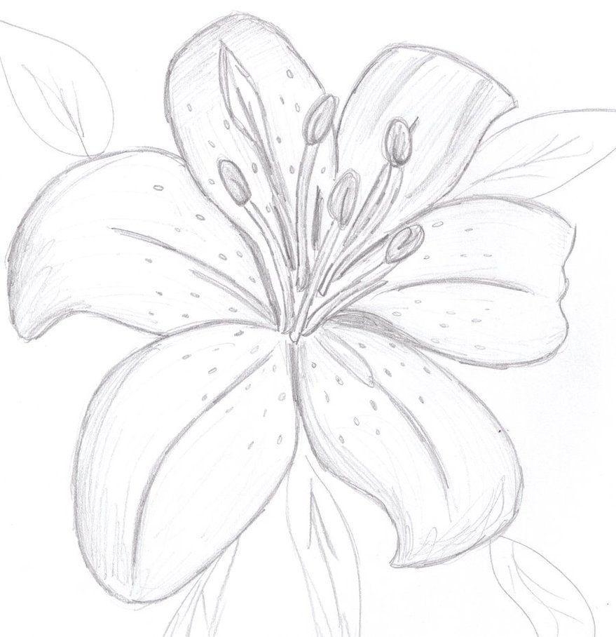 pretty flowers to draw