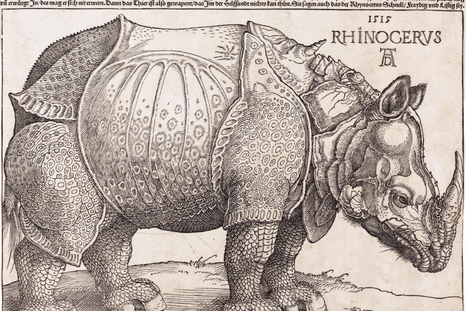 D rer s Rhinoceros Wikipedia