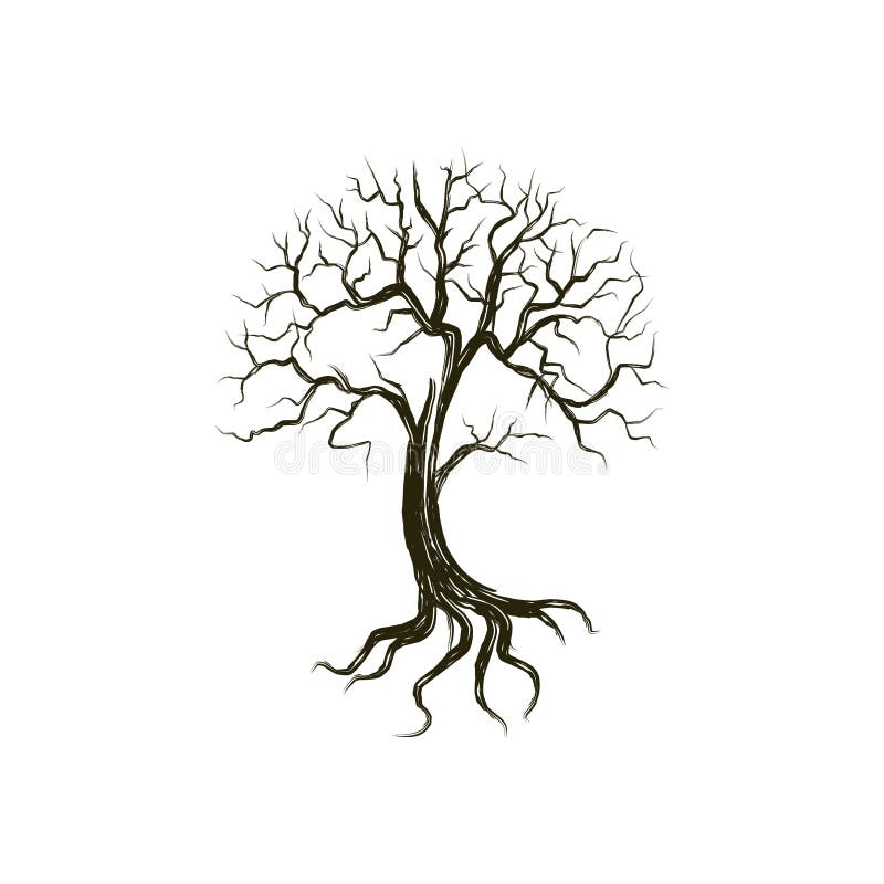 Dead Tree Drawing Stock Illustrations 4 307 Dead Tree Drawing 
