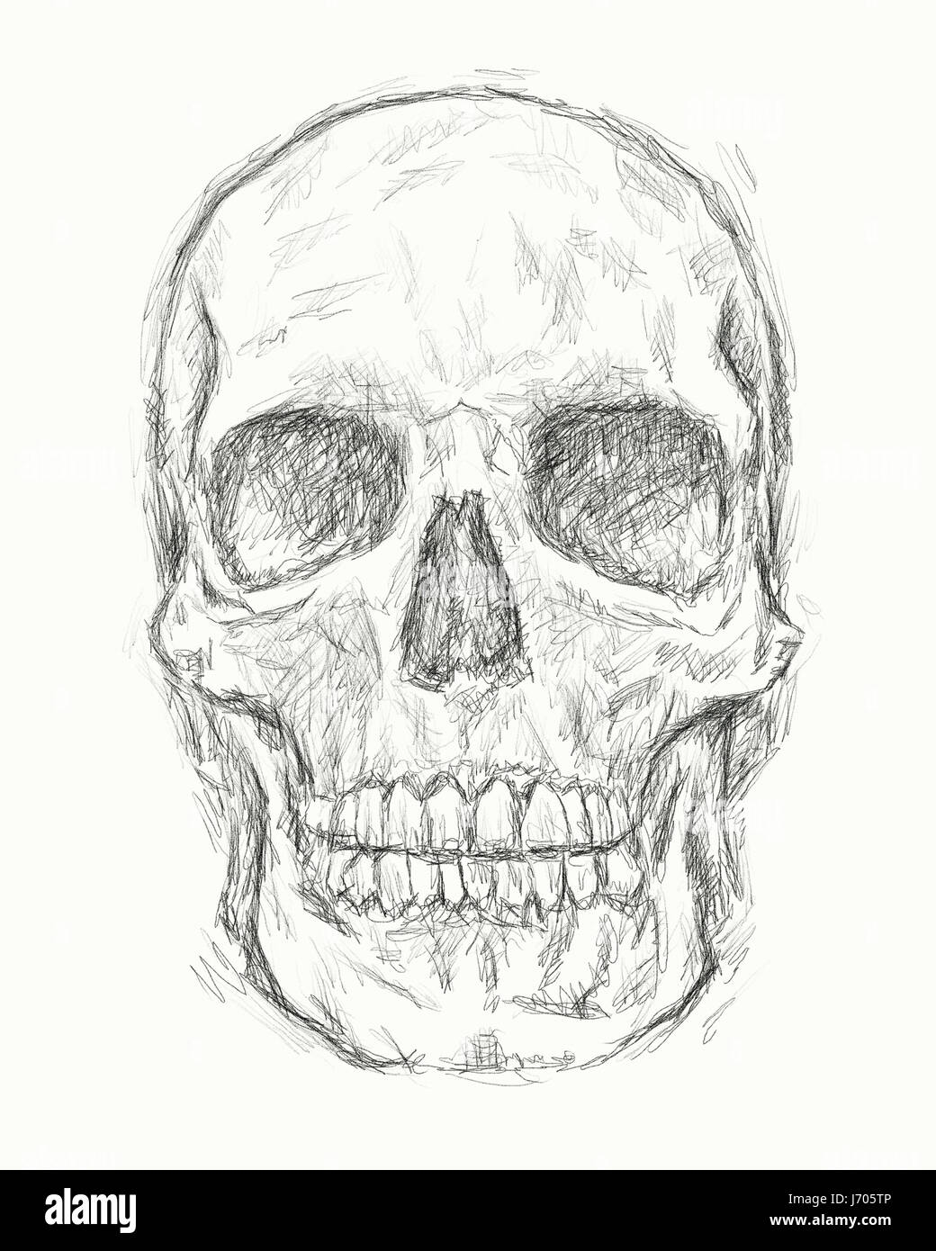 Death Illustration Skull Bone Horror Drawing Photo Picture Image 