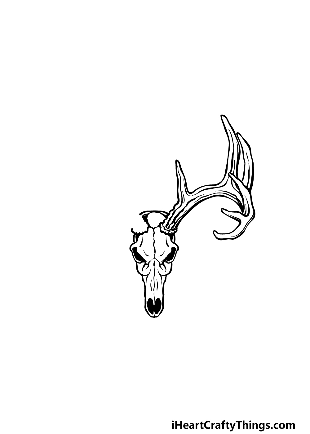 Deer Skull Drawing How To Draw A Deer Skull Step By Step