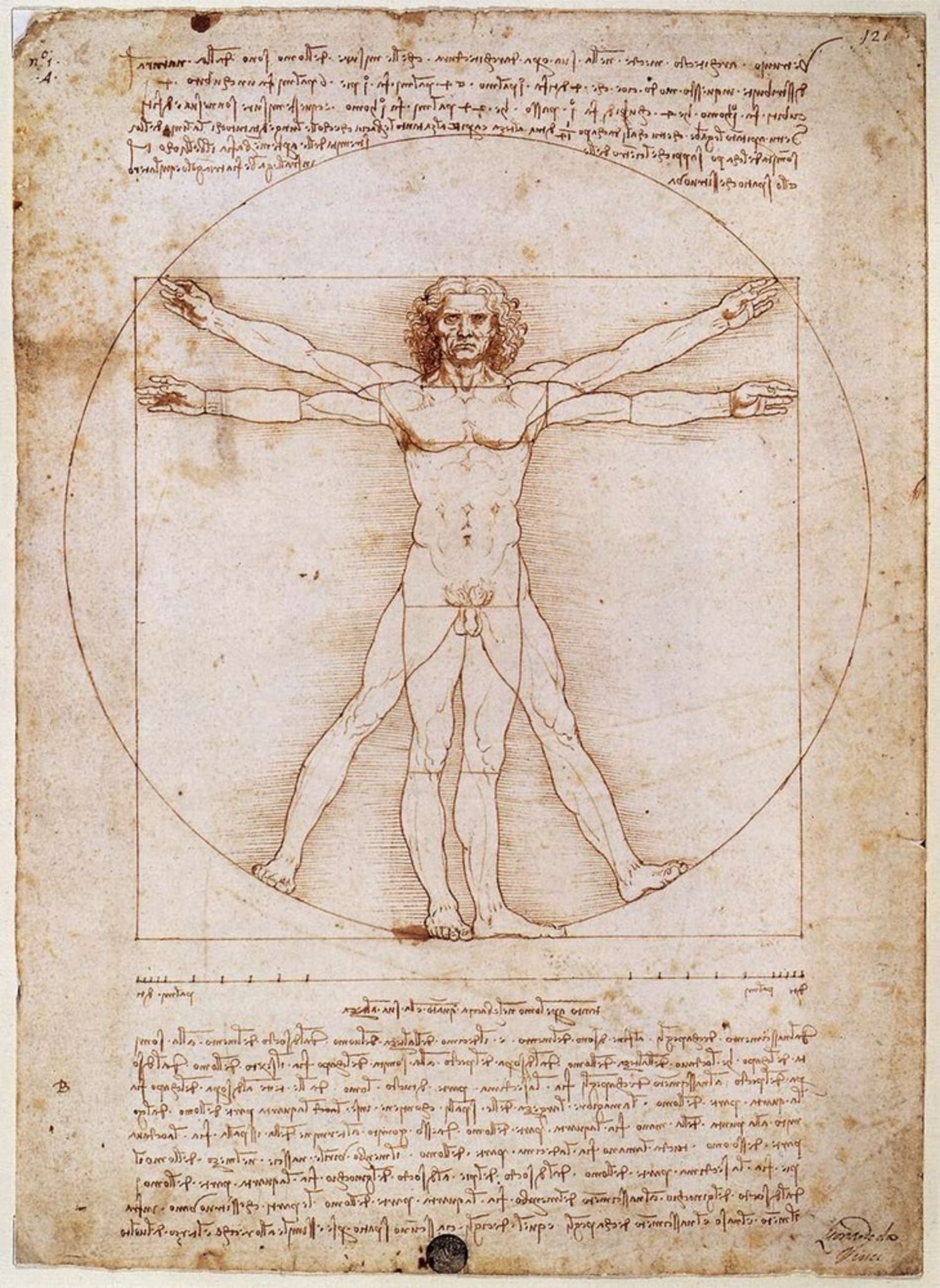 Did Leonardo Da Vinci Copy His Famous Vitruvian Man 