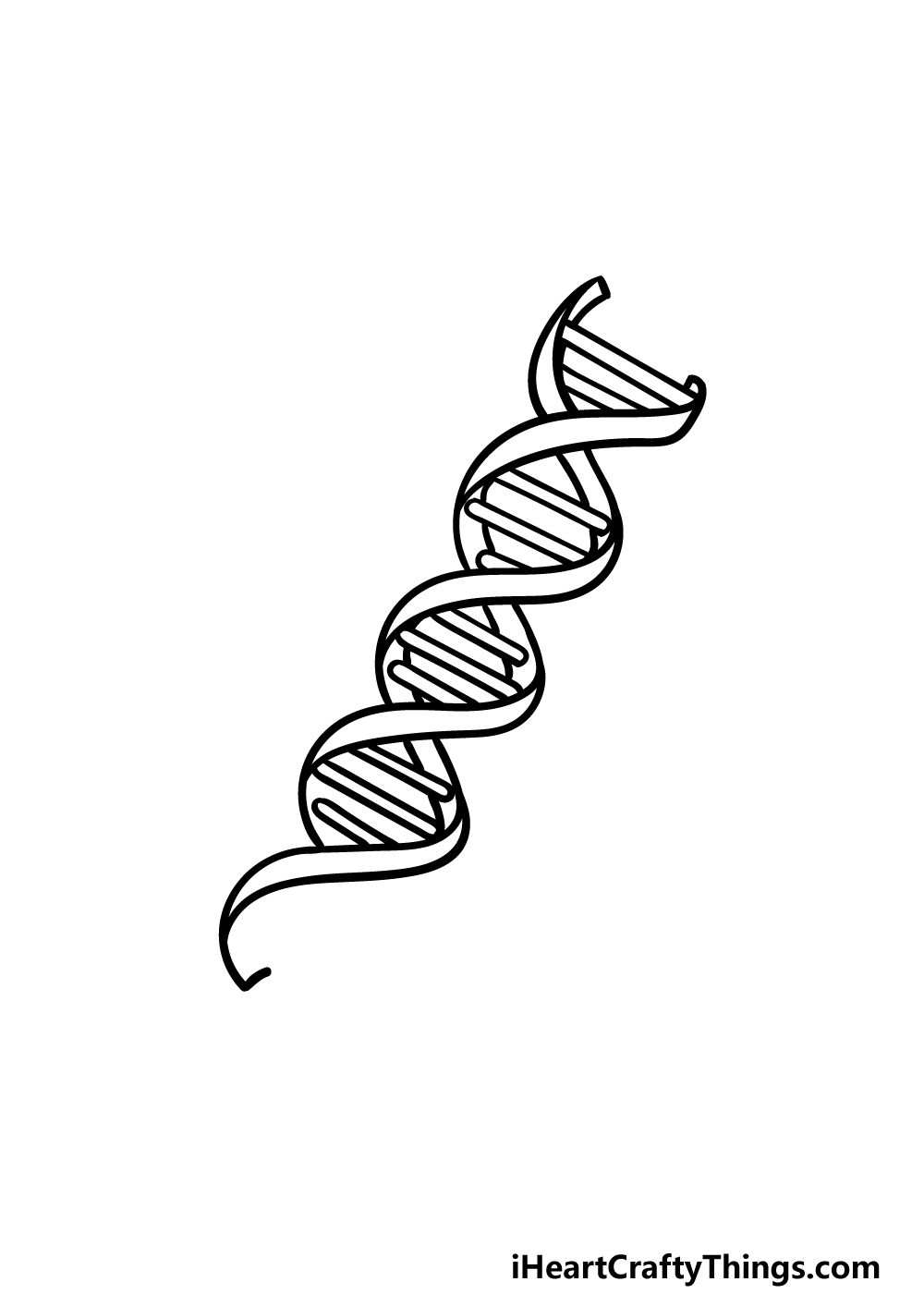 DNA Drawing How To Draw DNA Step By Step