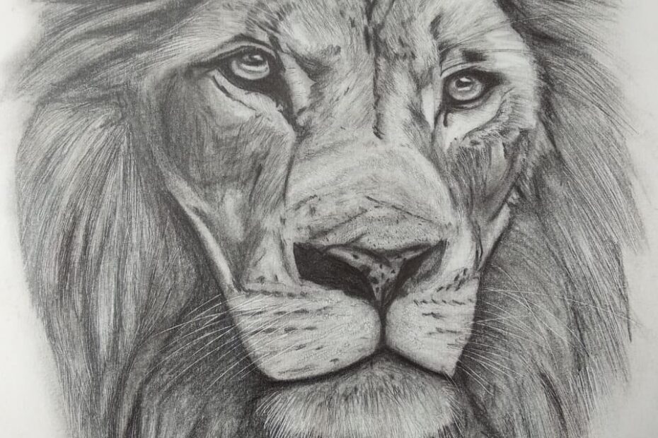 Do Portrait Drawings And Good At Portrait By Sadwinbrunas Fiverr