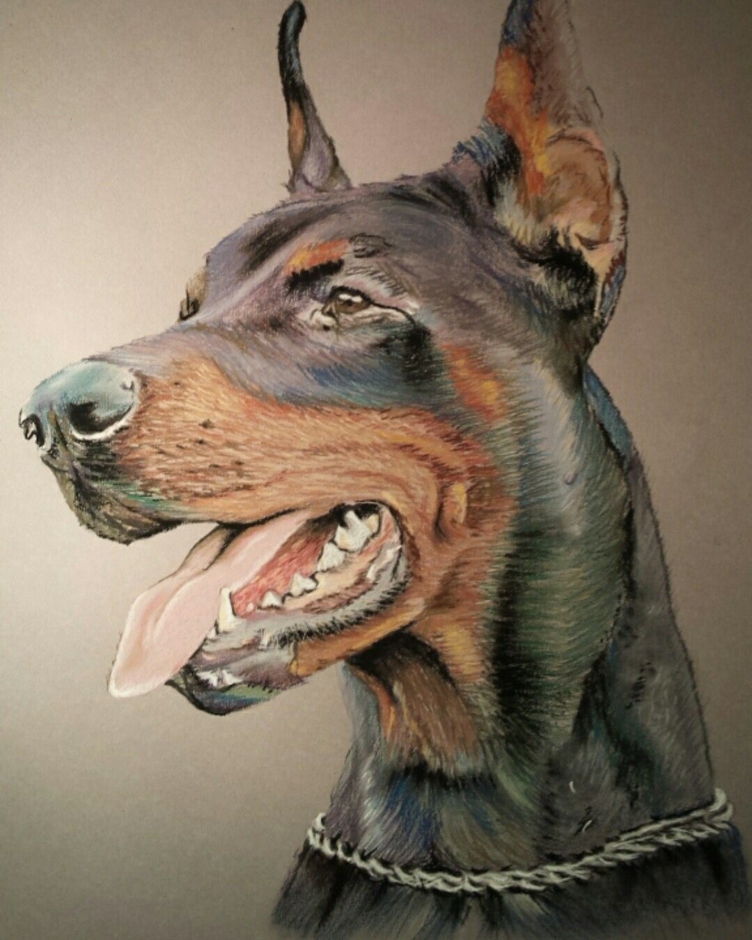 Doberman Drawing Pics Drawing Skill