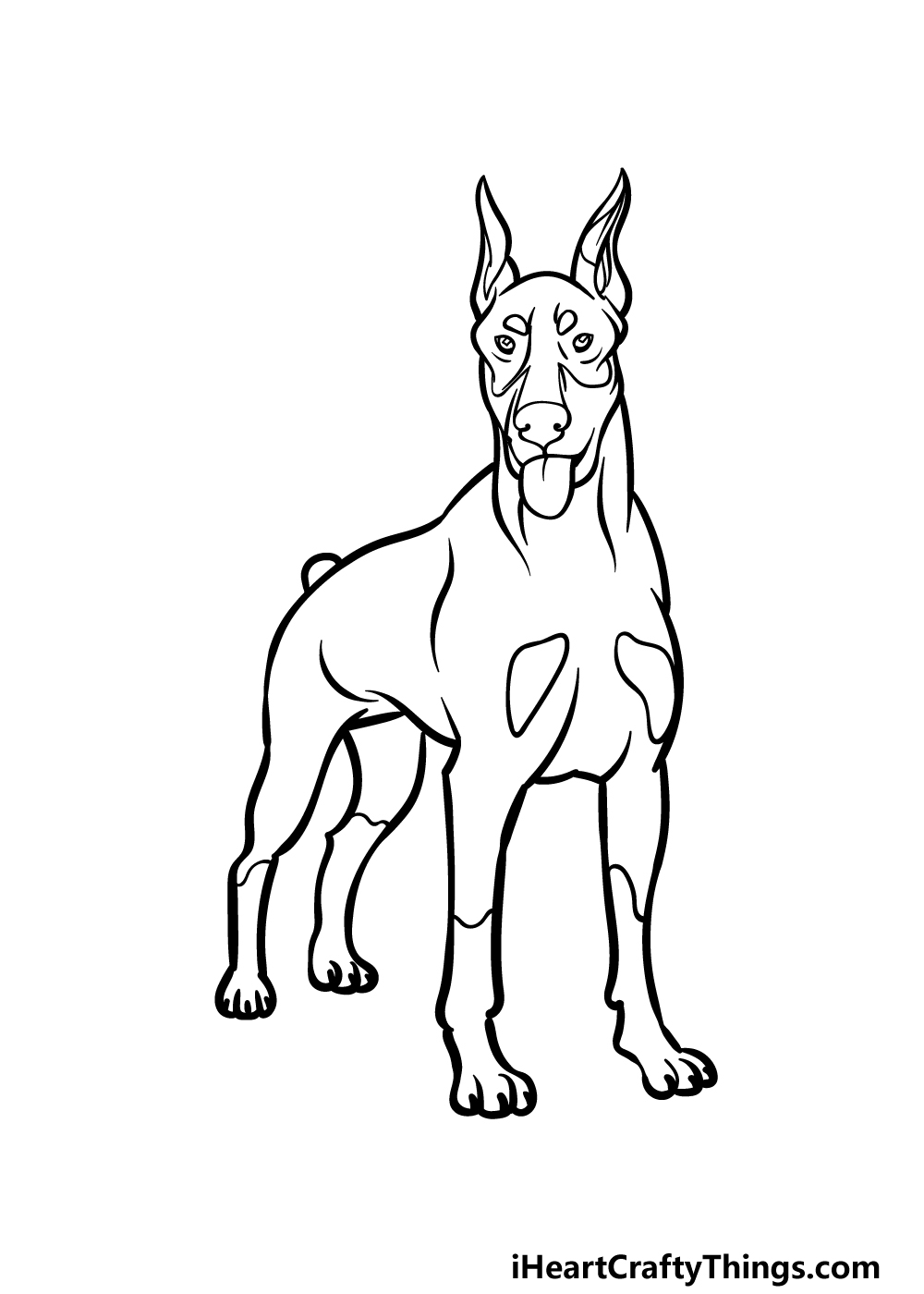 Dobermann Drawing How To Draw A Dobermann Step By Step