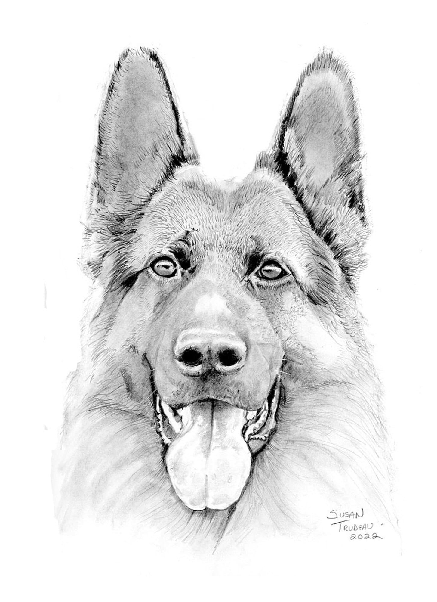 dog face drawing