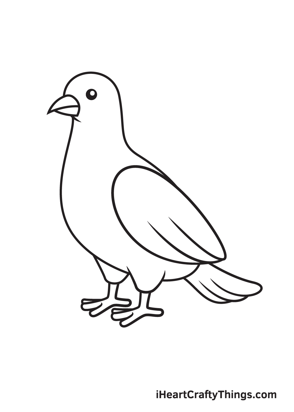 Dove Drawing How To Draw A Dove Step By Step