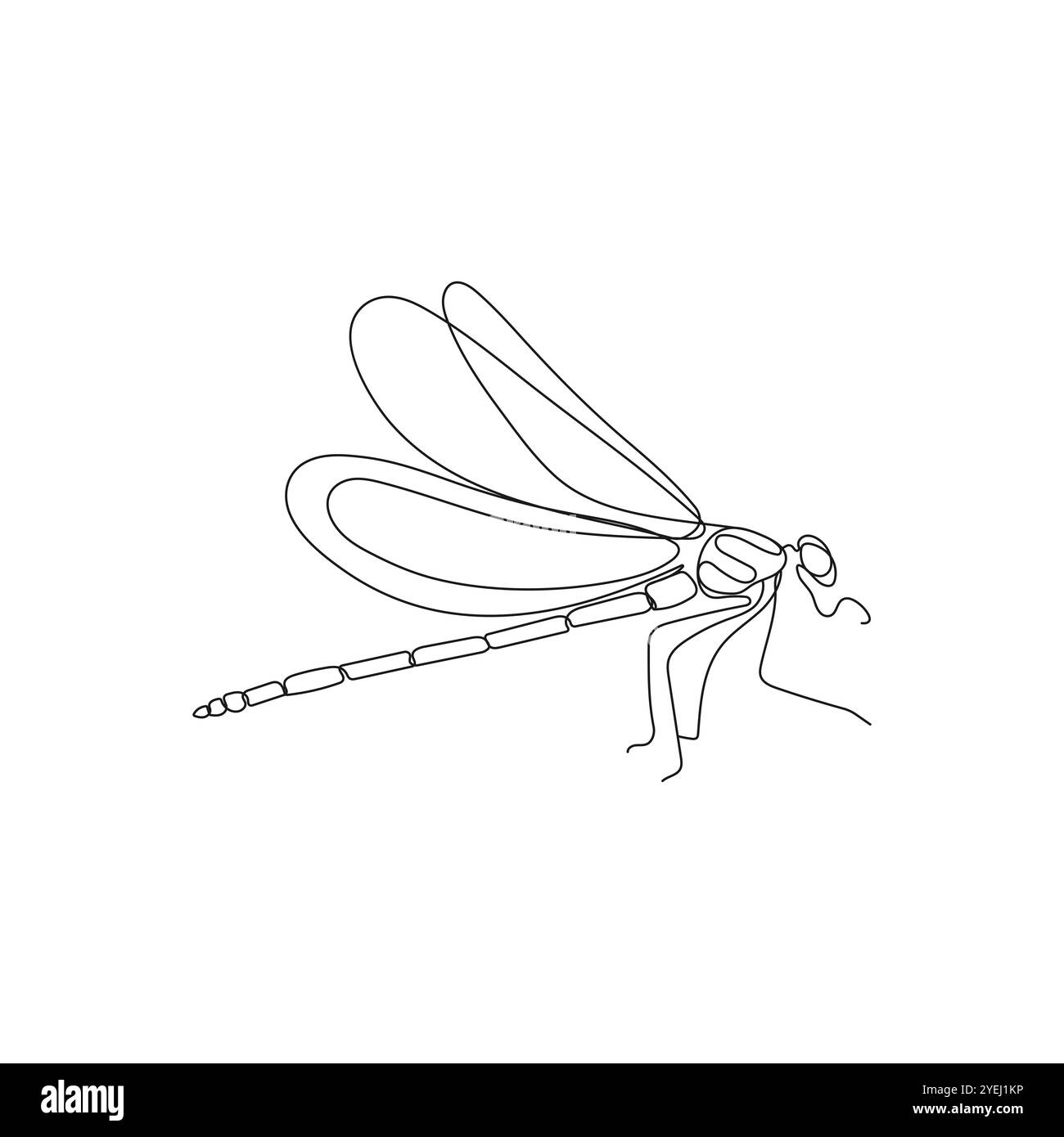 Dragonfly Drawing Cut Out Stock Images U0026 Pictures Alamy