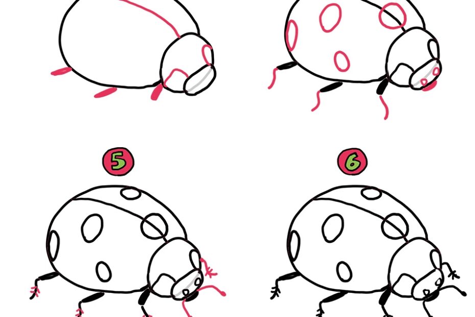 Draw A Ladybug Learn To Draw Online
