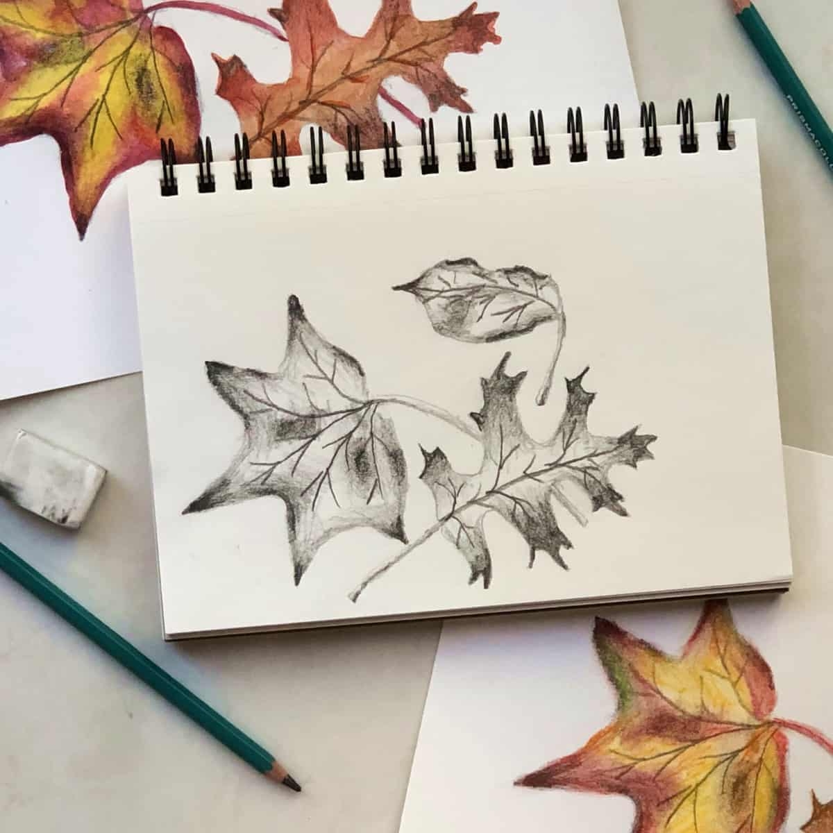 easy drawing of a leaf curling