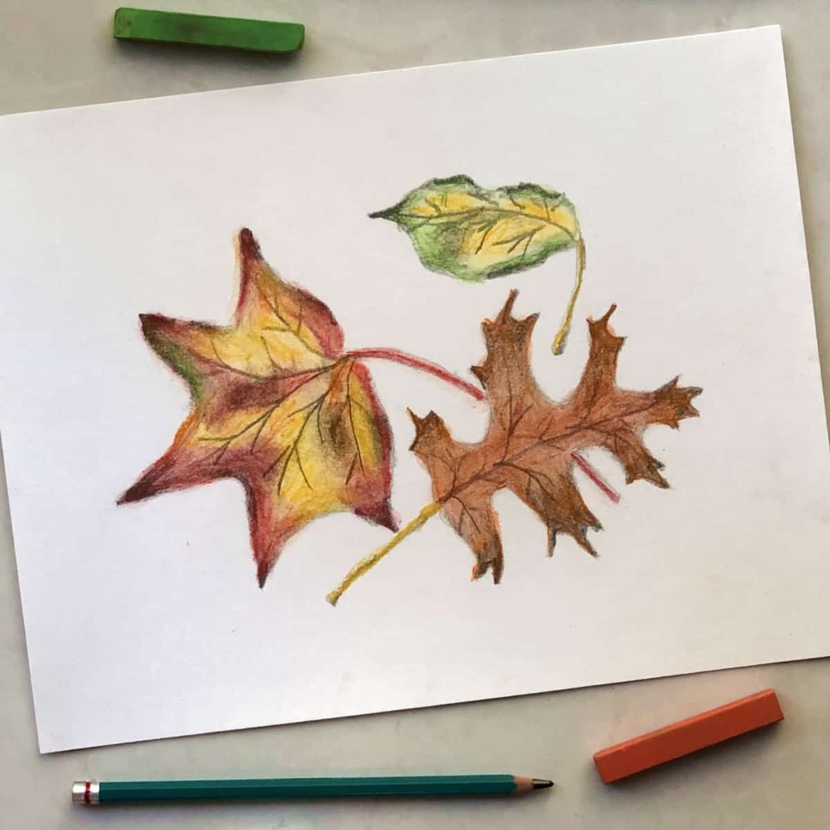 leaf drawings