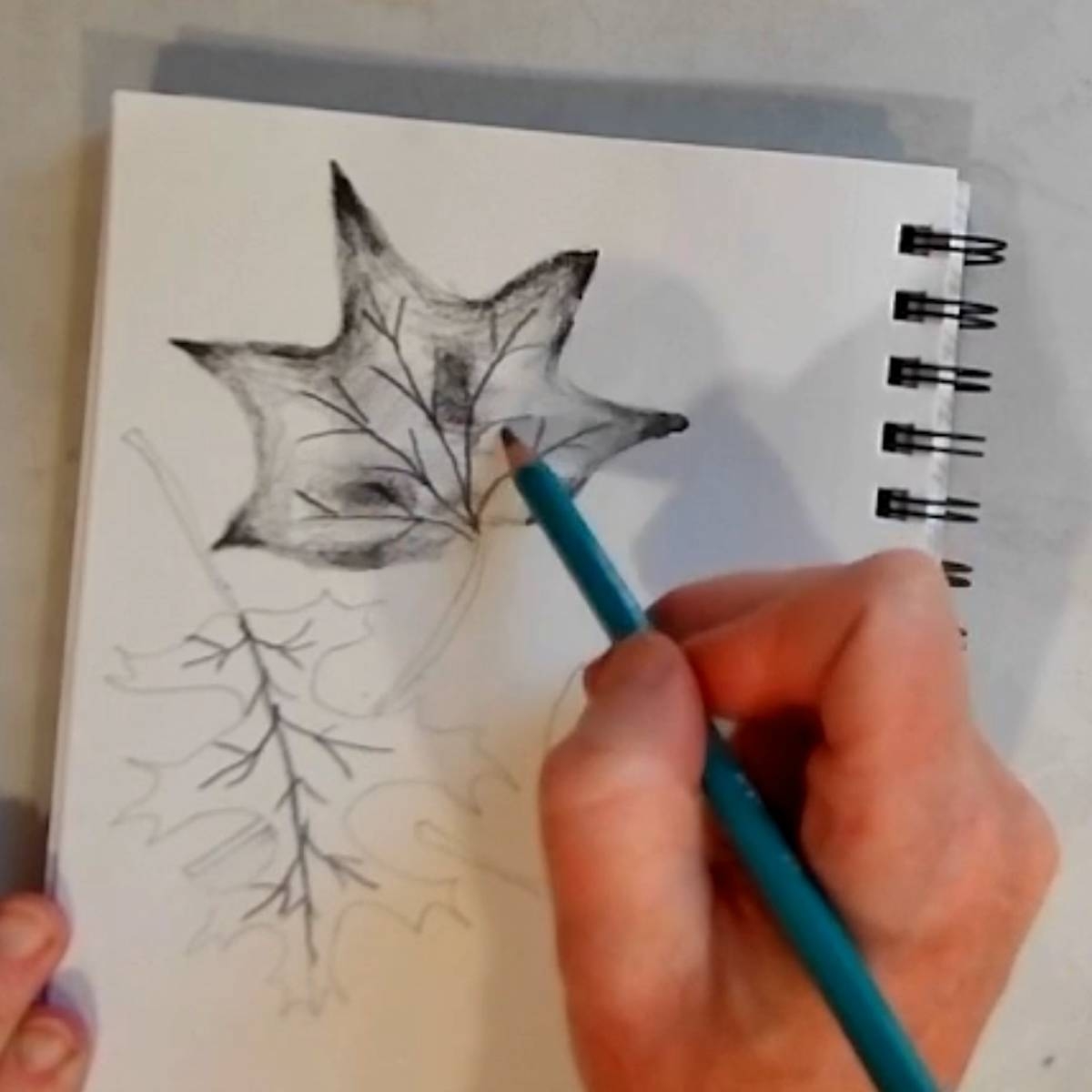 Draw Easy Fall Leaves Step by step Realistic Autumn Leaf Sketch 