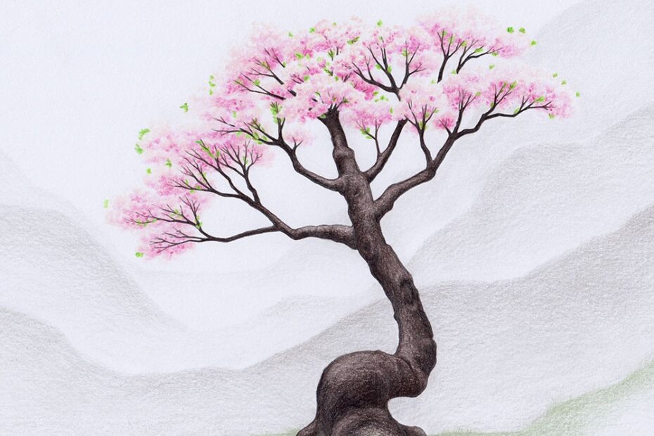 Drawing A Cherry Blossom Tree Sakura How to Art