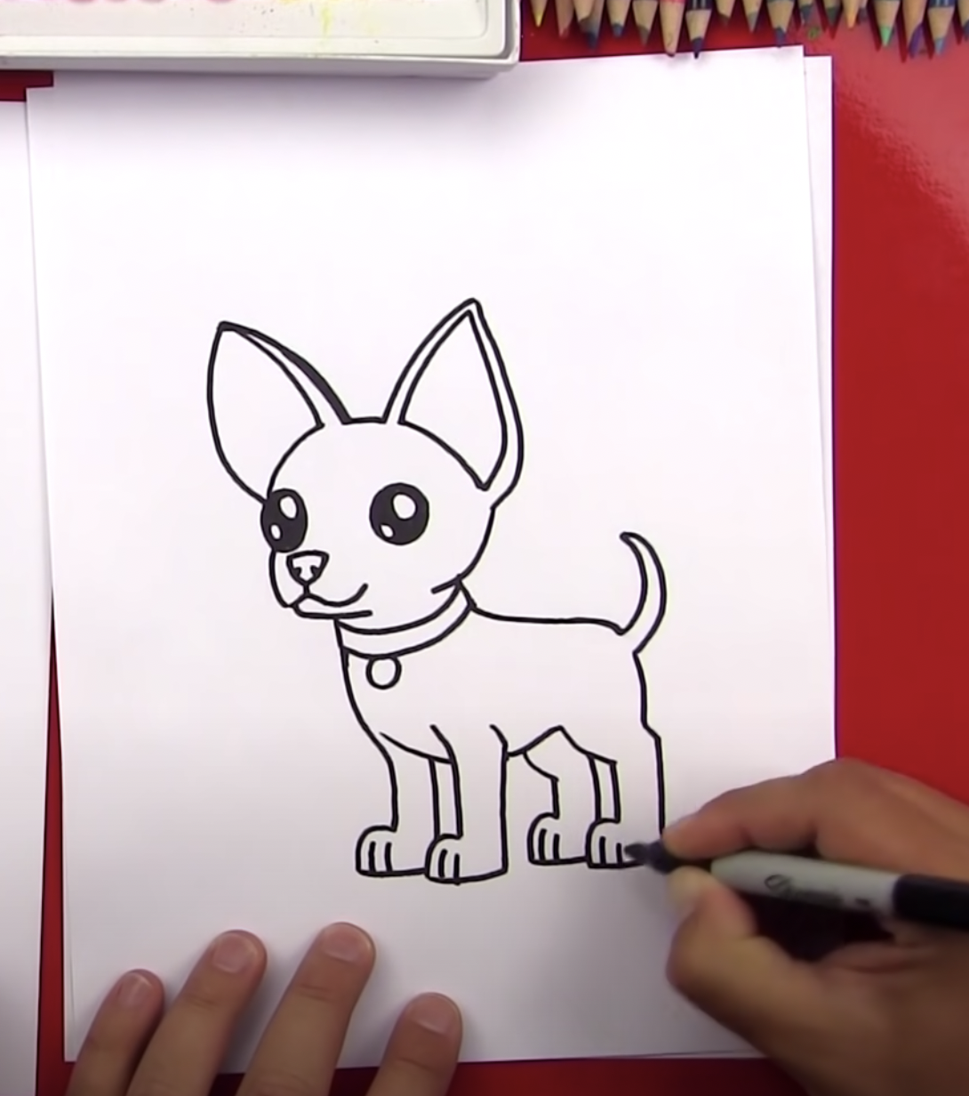 Drawing A Chihuahua Easy Steps For Dog Lovers Rocky Kanaka