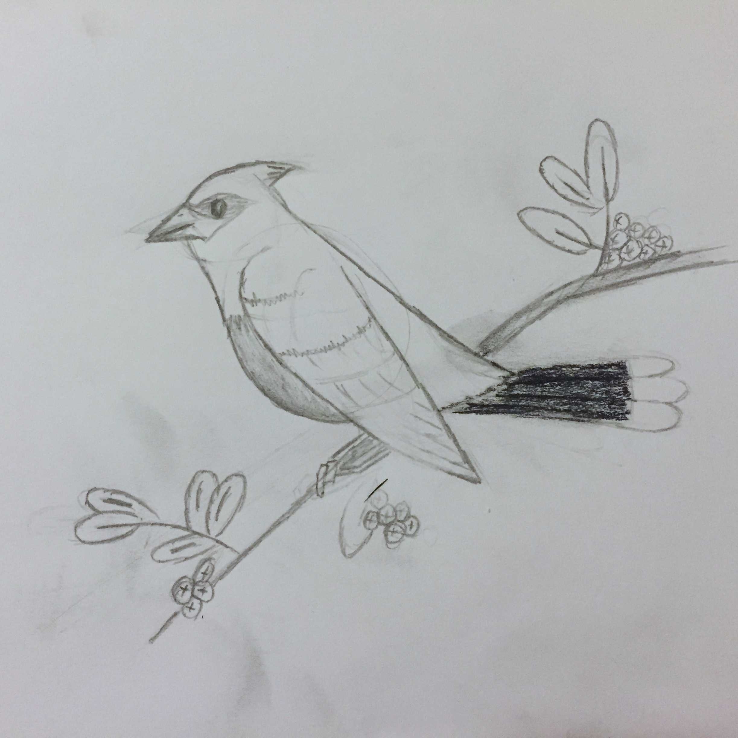 Drawing Ash Furrow