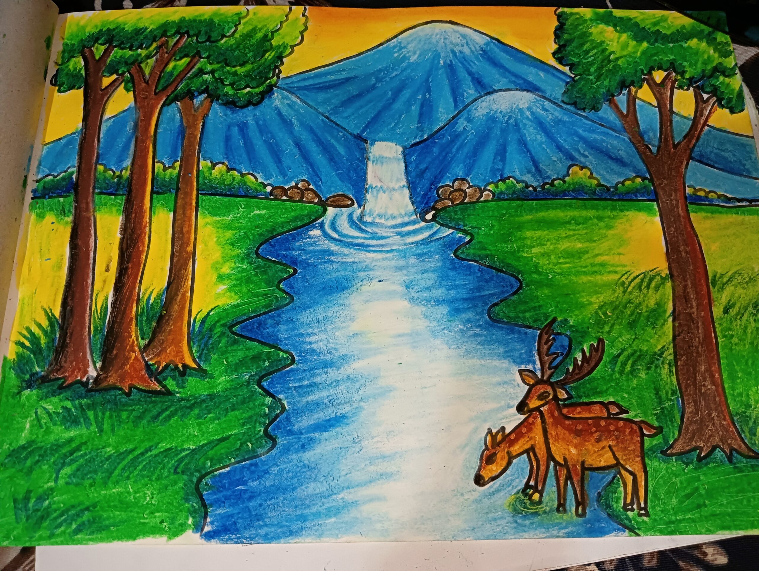 forest drawings