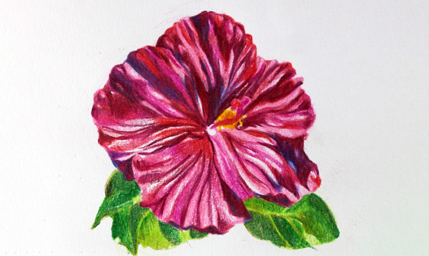 draw and colour flower