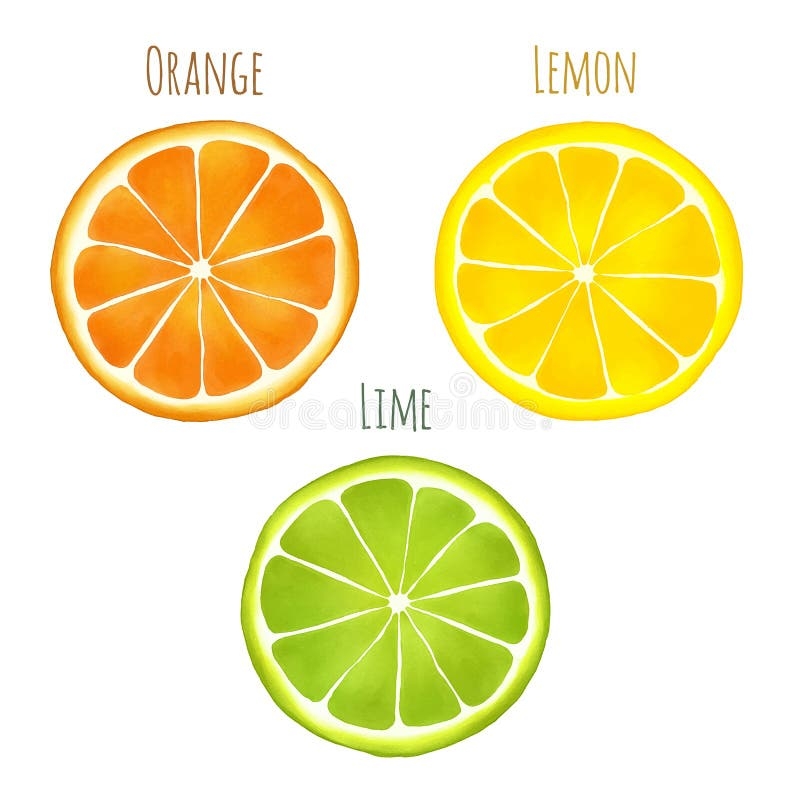 lime drawing