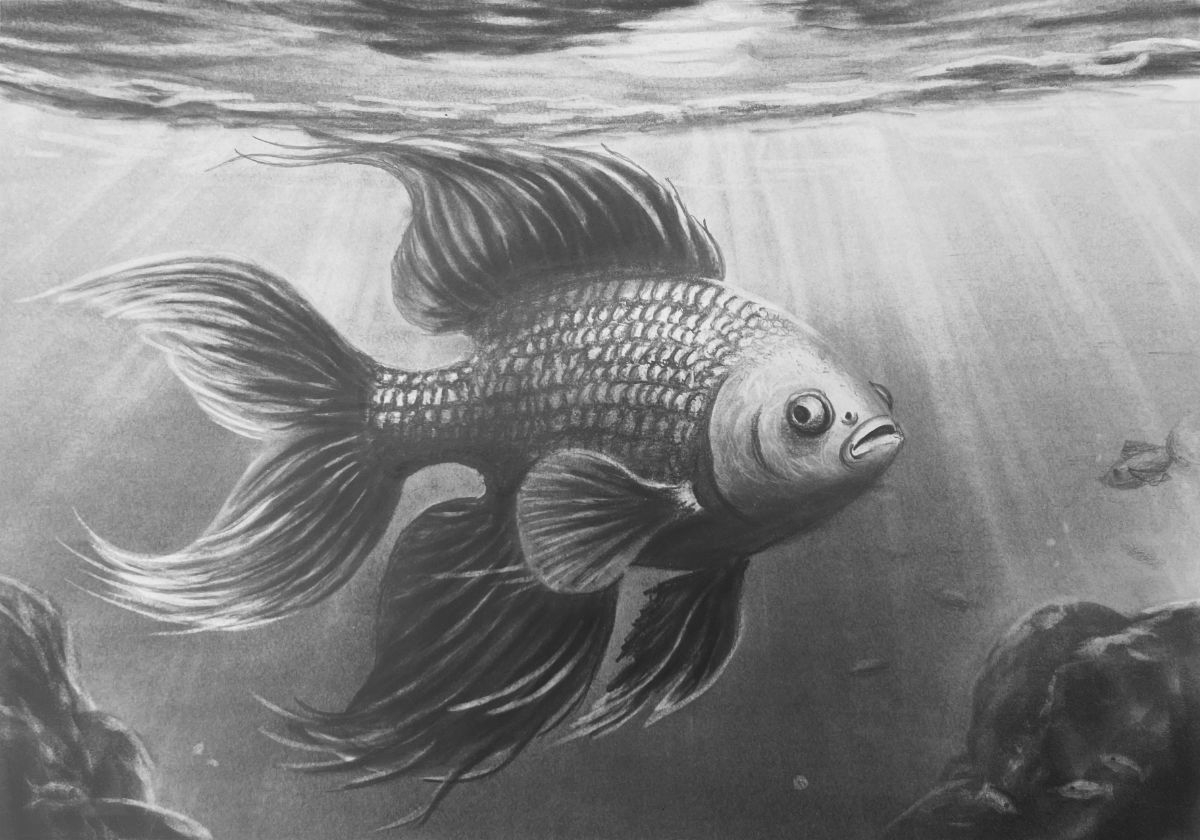 realistic drawings