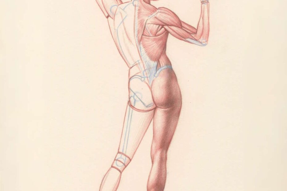 Drawing The Body By Roberto Osti Roberto Osti s Web Site