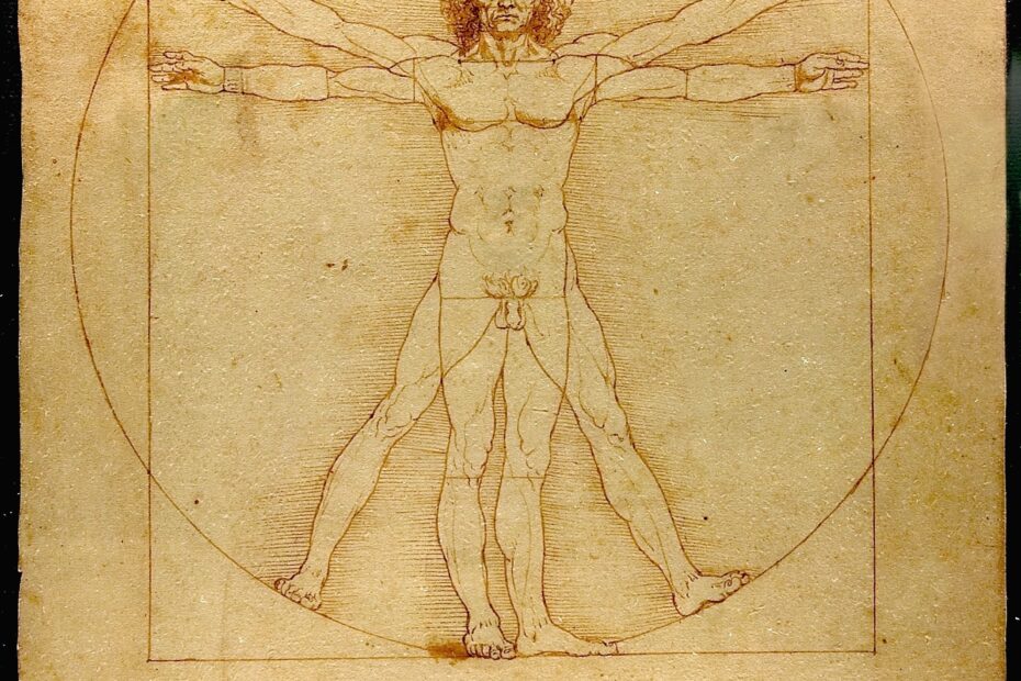 Drawing Wikipedia