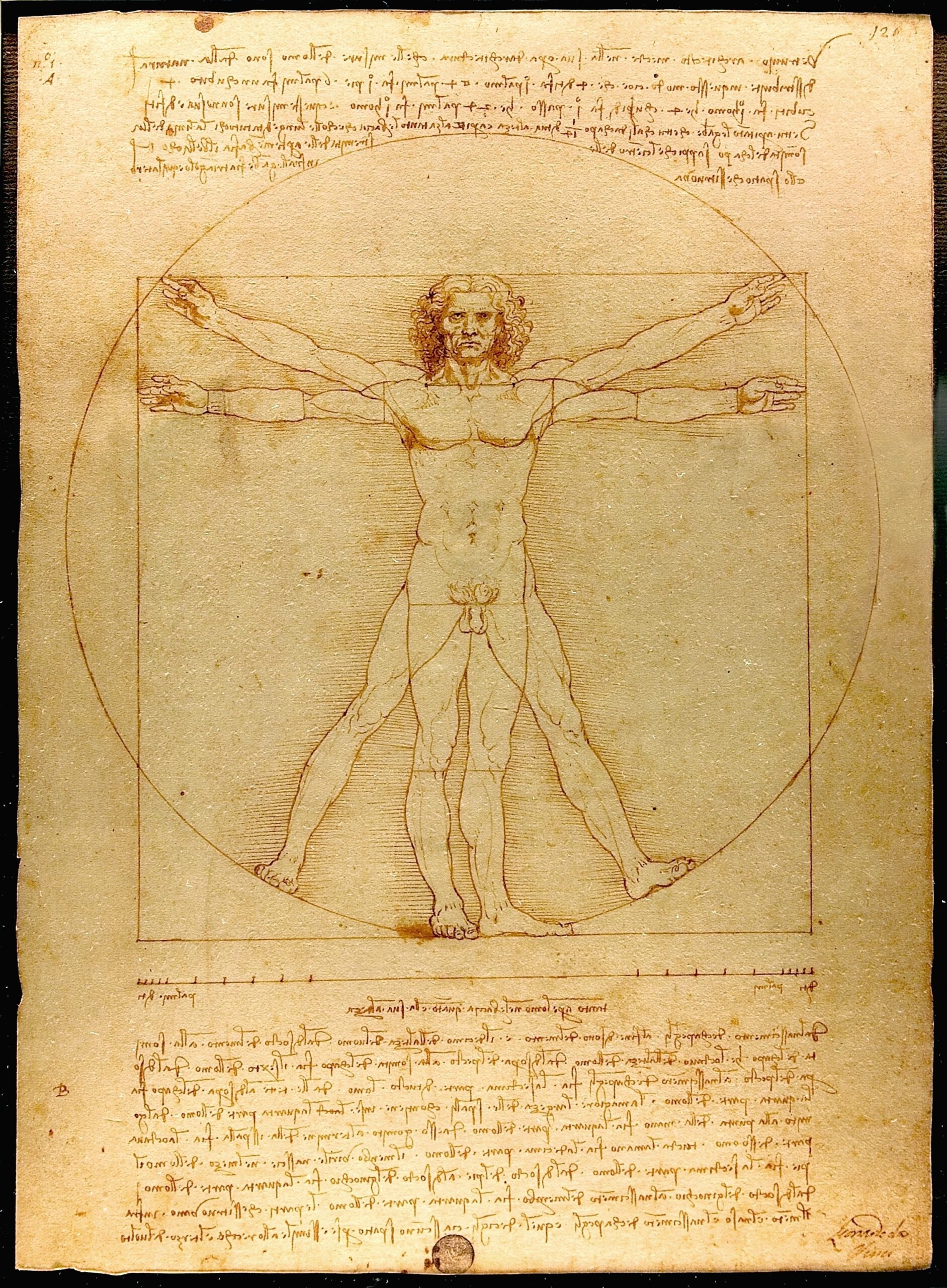 Drawing Wikipedia