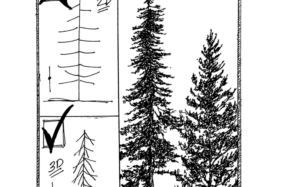 Earth Day How To Draw A Pine Tree Hahnem hle Sketchbook Mini Review Sandy Allnock