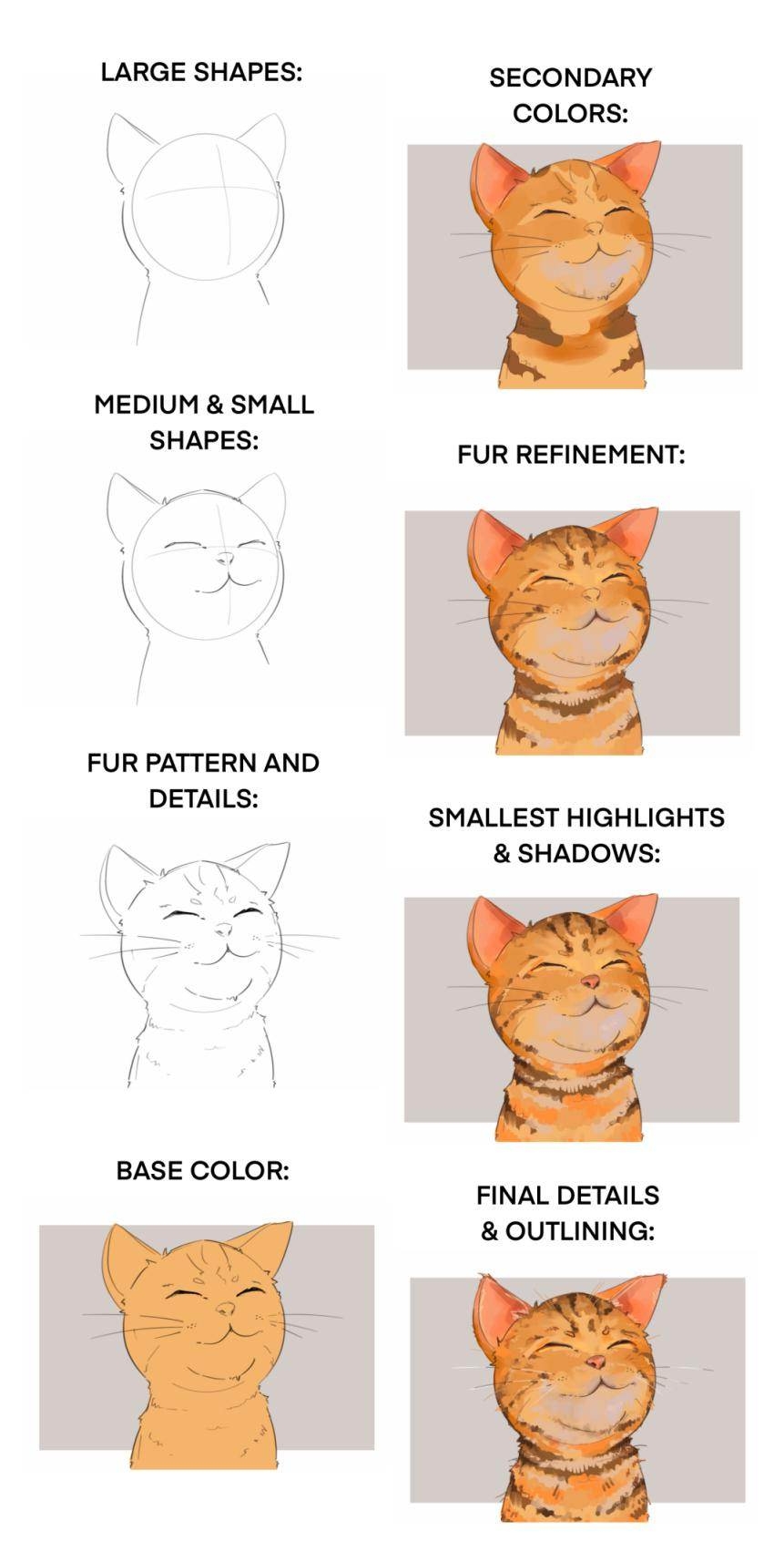 how to draw a cat face