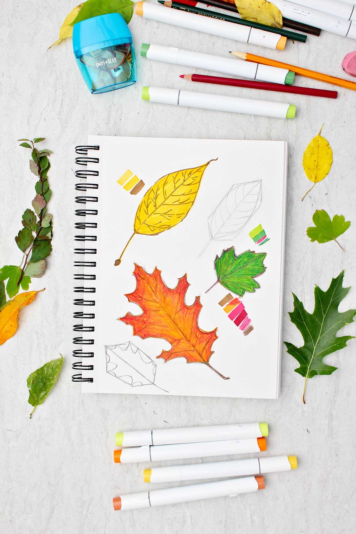 fall drawings easy