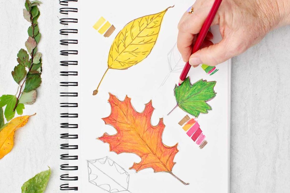 Easy Fall Leaves Drawing For Kids Welcome To Nana s