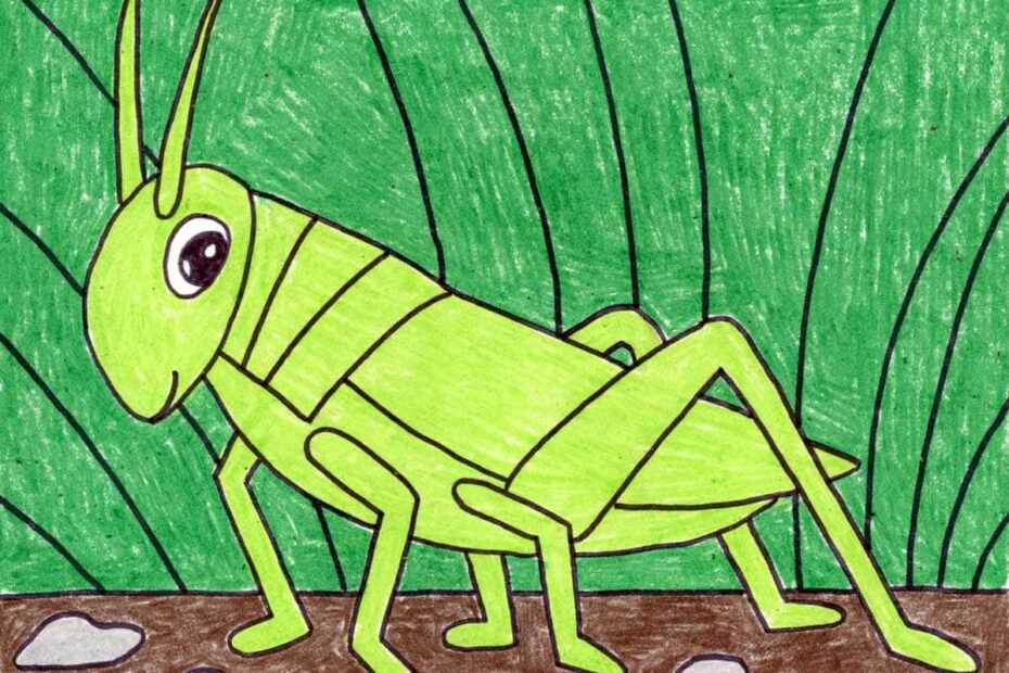 Easy How To Draw A Grasshopper Tutorial U0026 Coloring Page