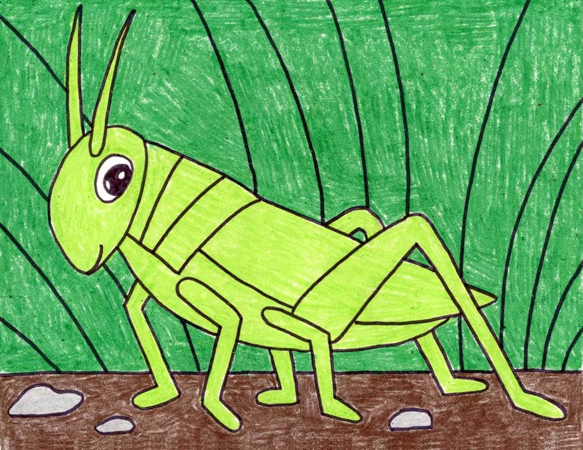 Easy How To Draw A Grasshopper Tutorial U0026 Coloring Page