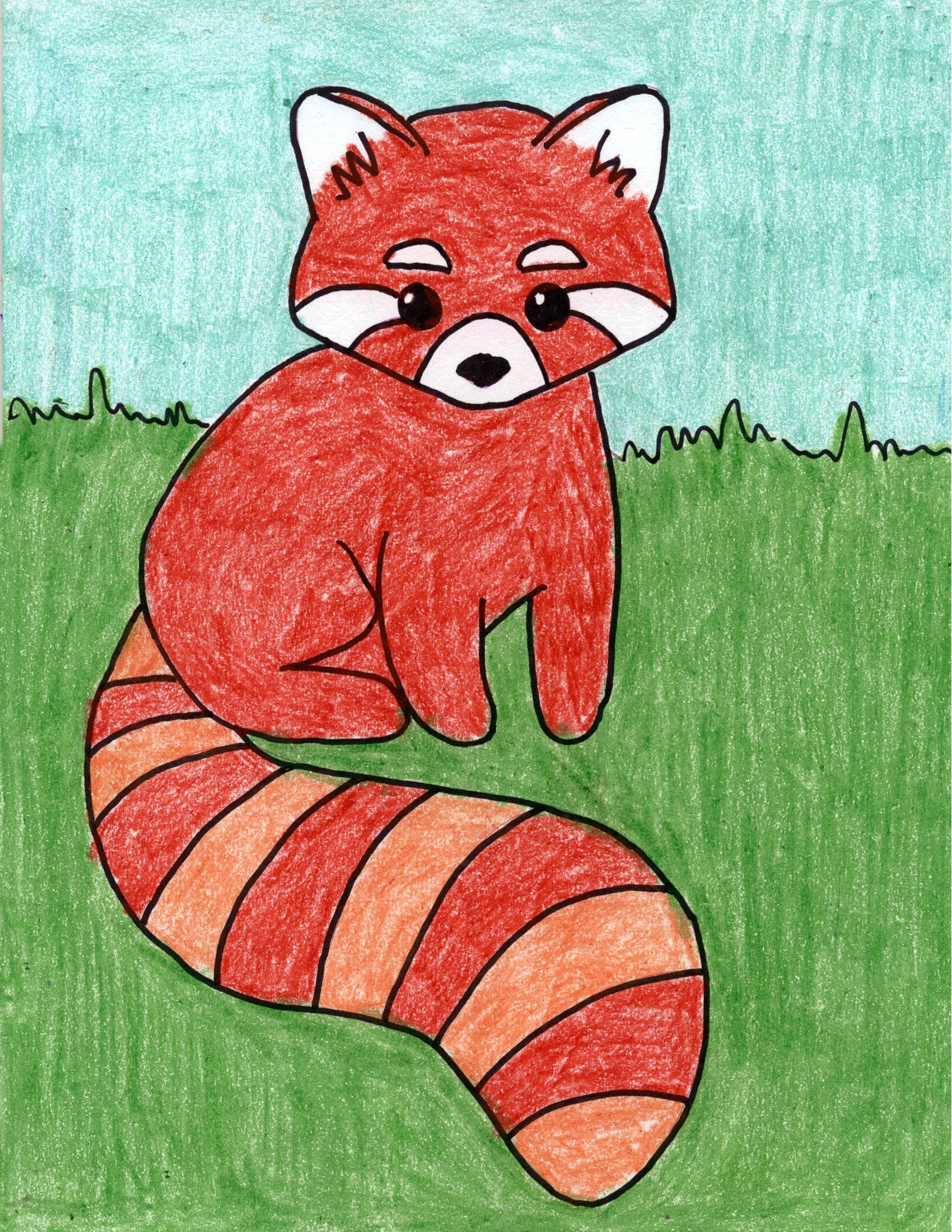 Easy How To Draw A Red Panda Tutorial And Coloring Page