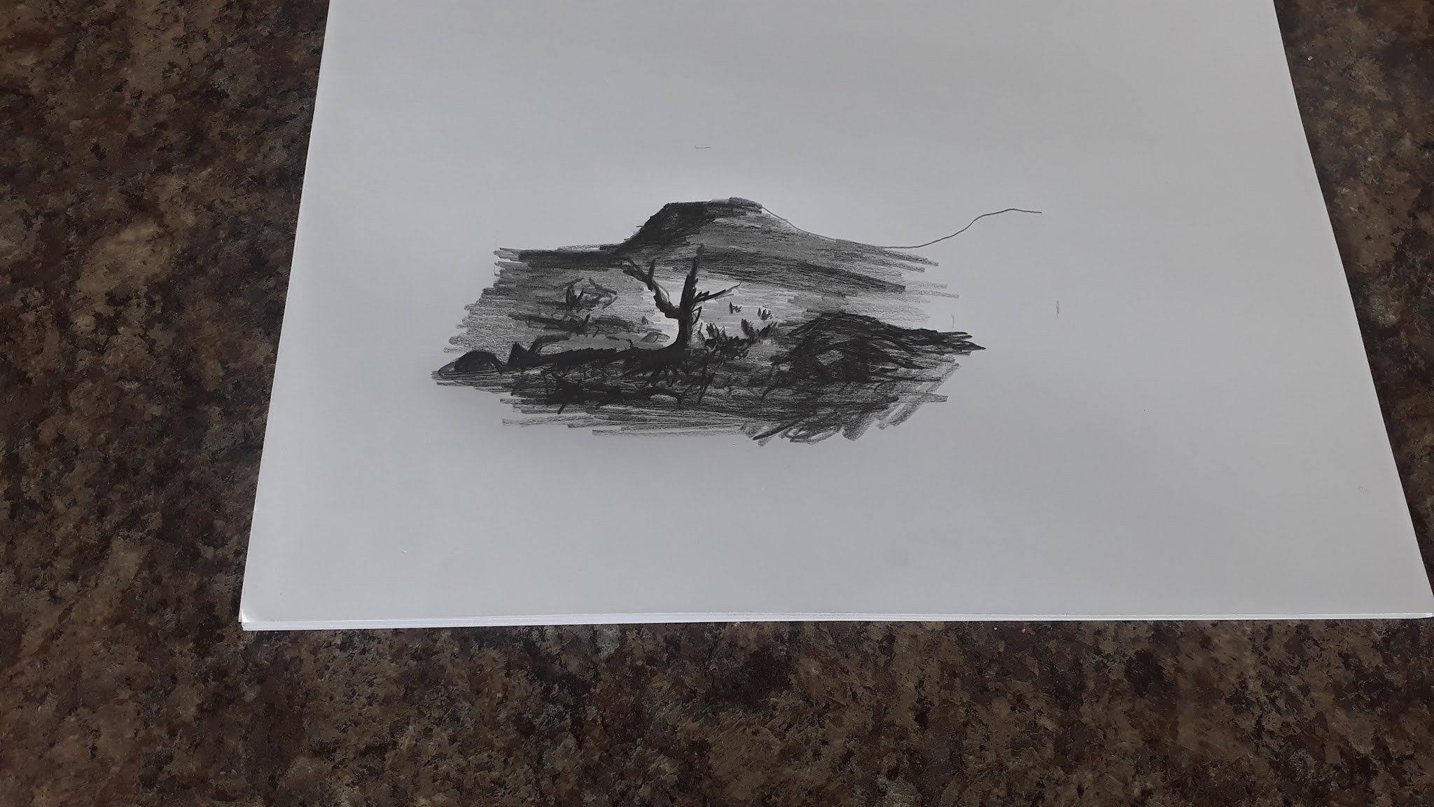simple pencil drawing
