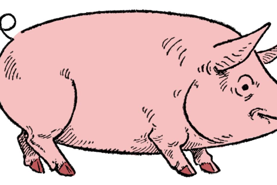 Easy Pig Drawing and Goat The Graphics Fairy