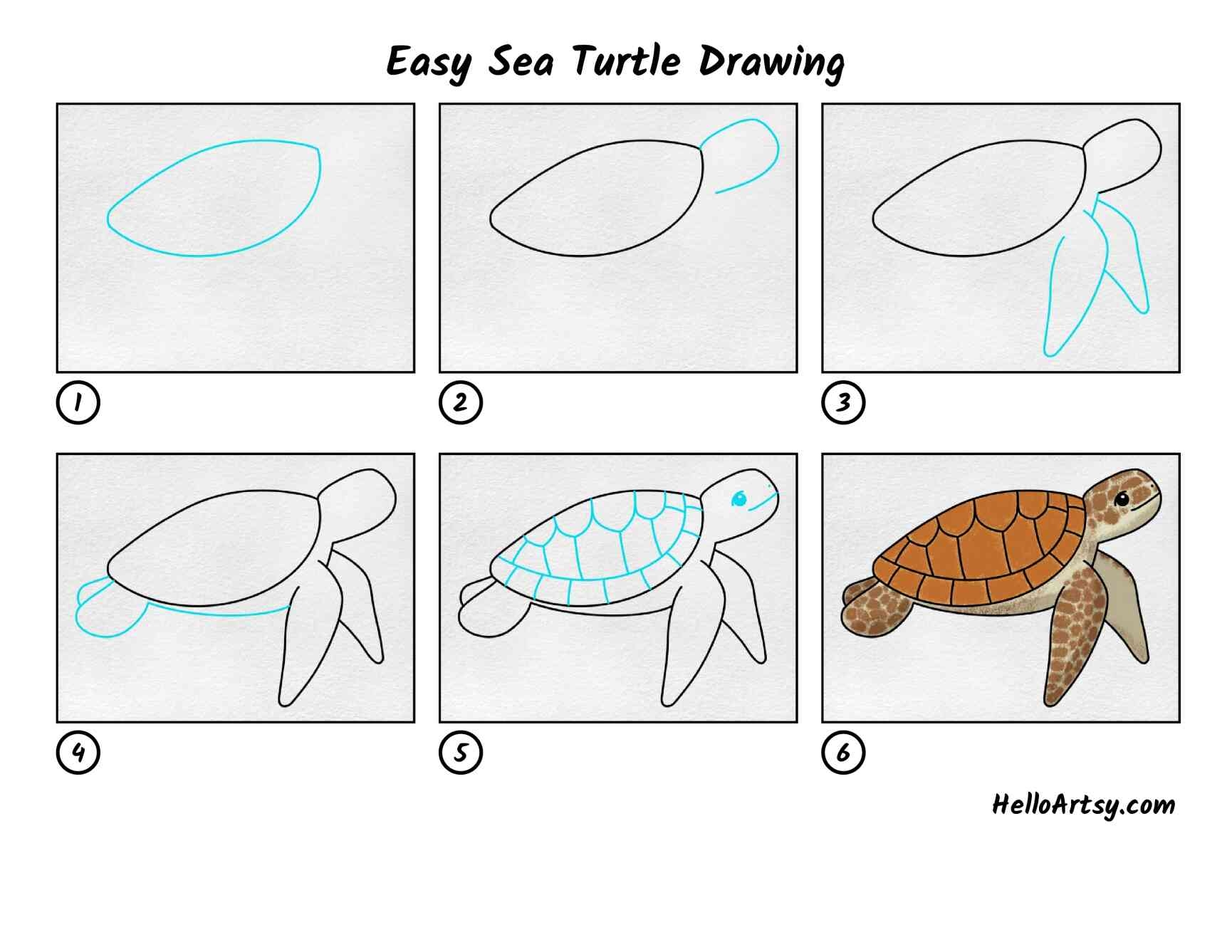 how to draw a turtle