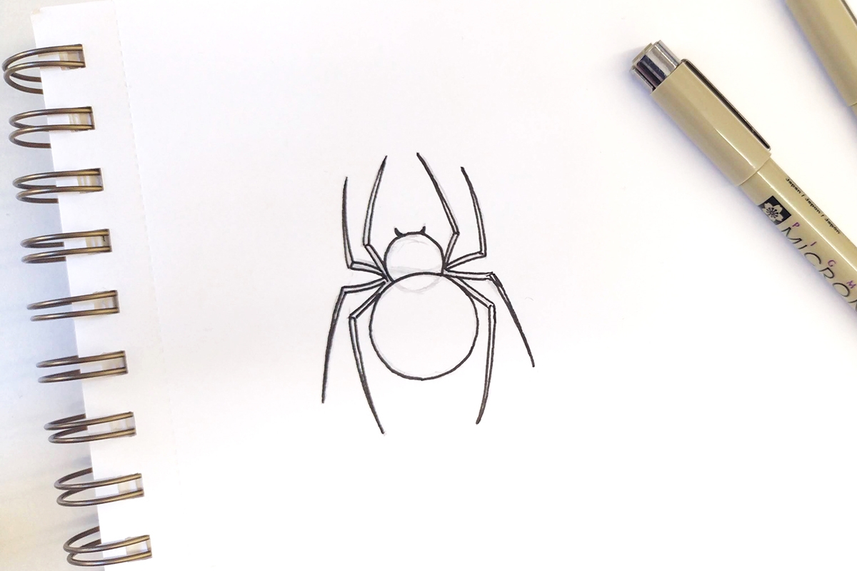 Easy Spider Drawing Tutorial Gathered
