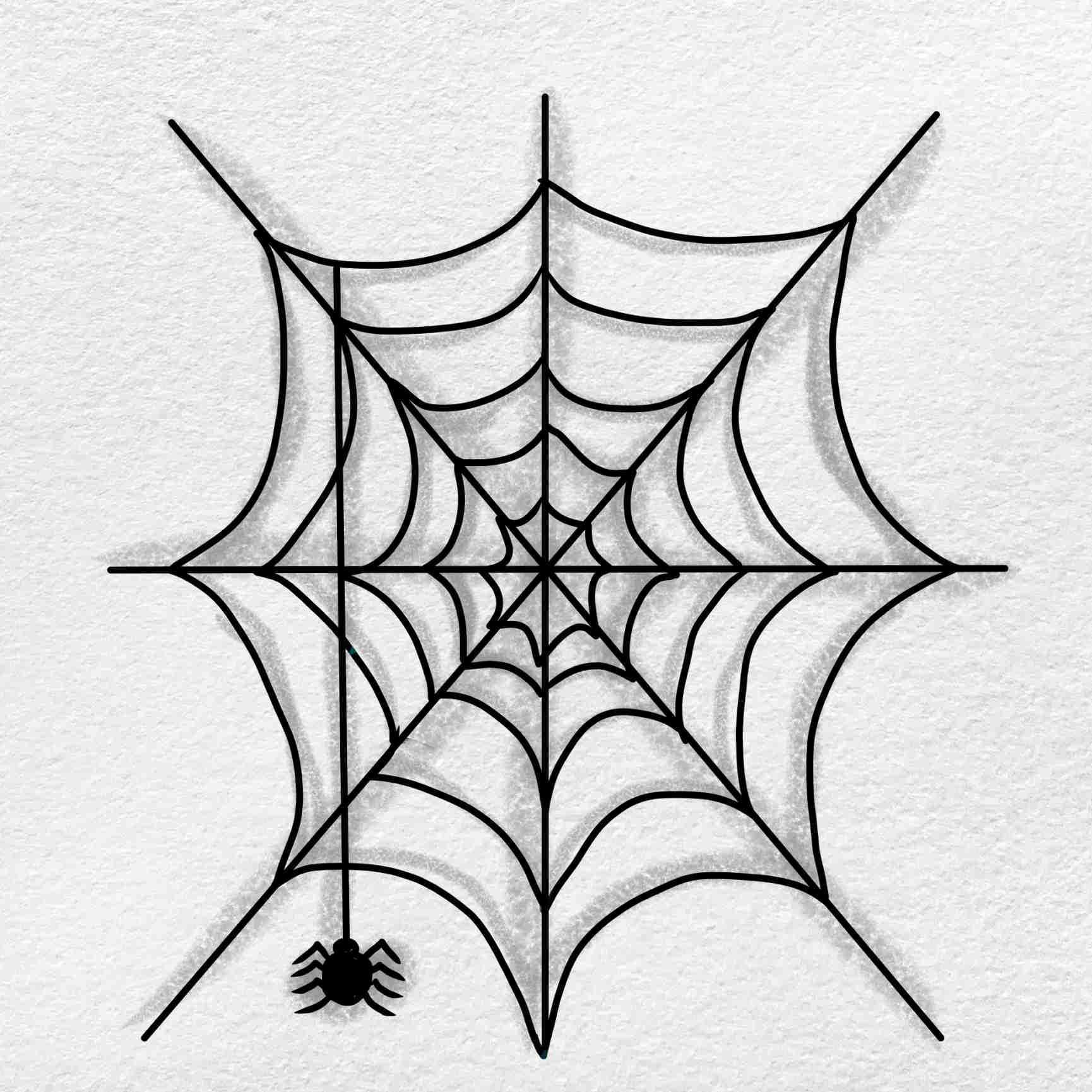 spider drawing