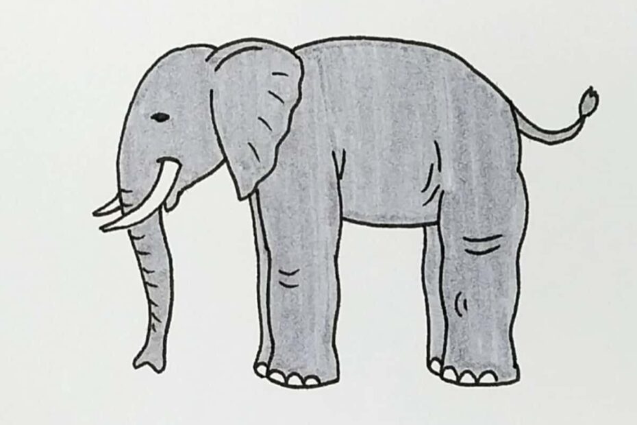 Elephant Drawing Skip To My Lou